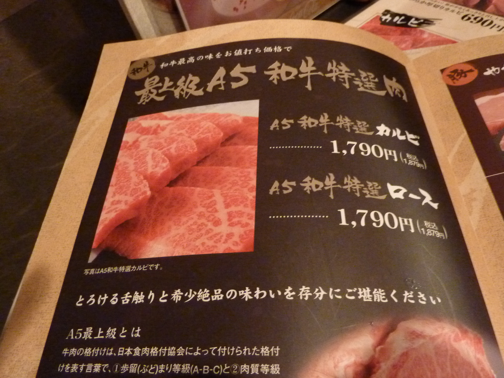 P1030329.JPG