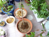 img0002.jpg