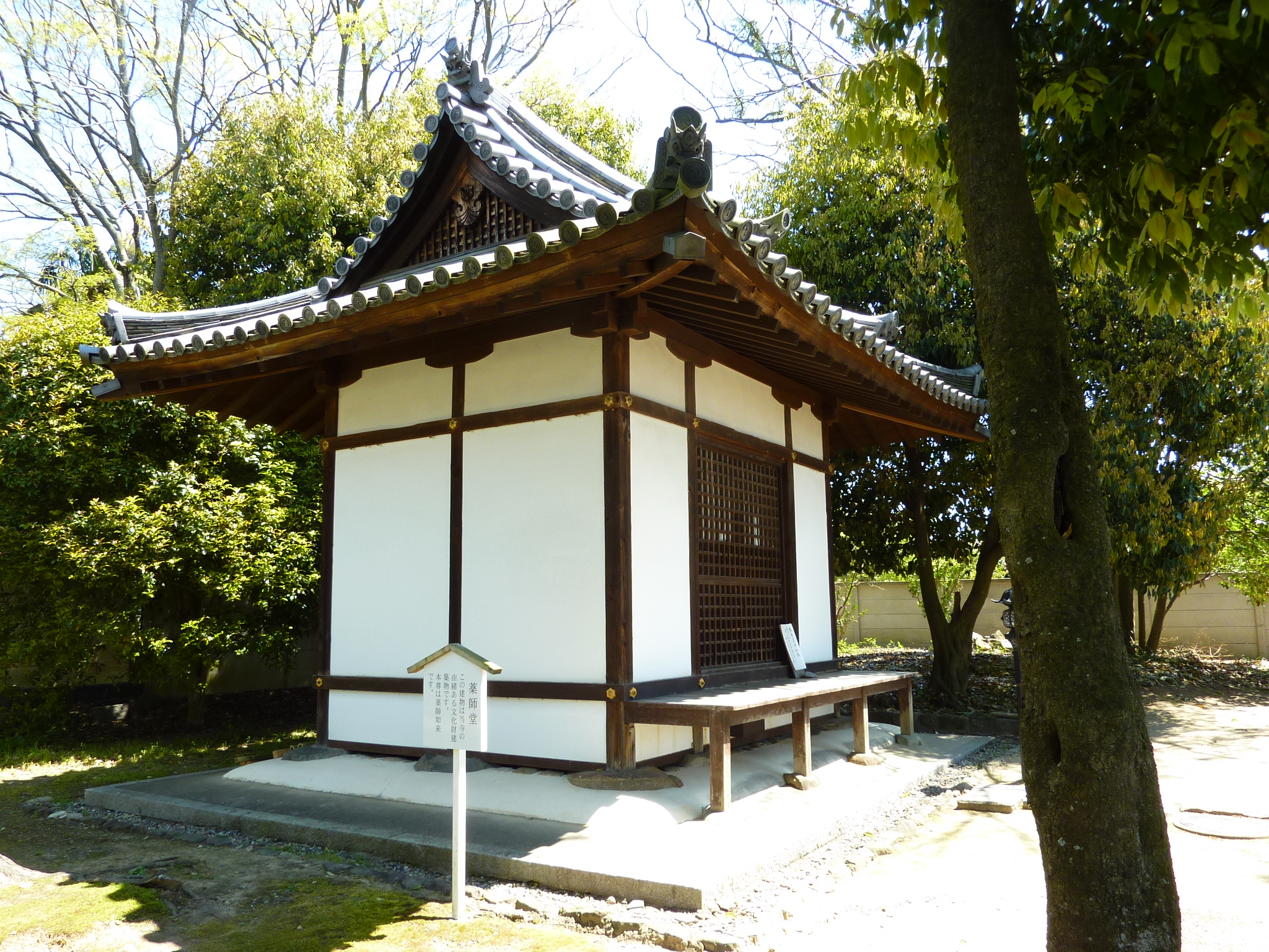P1030355.JPG