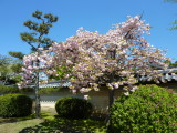 img0003.jpg