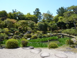 img0009.jpg