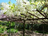 img0014.jpg