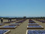 img0023.jpg