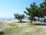 img0019.jpg