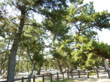 img0022.jpg