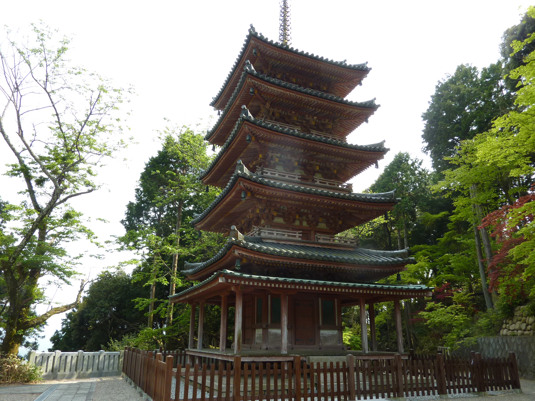 P1030555.JPG