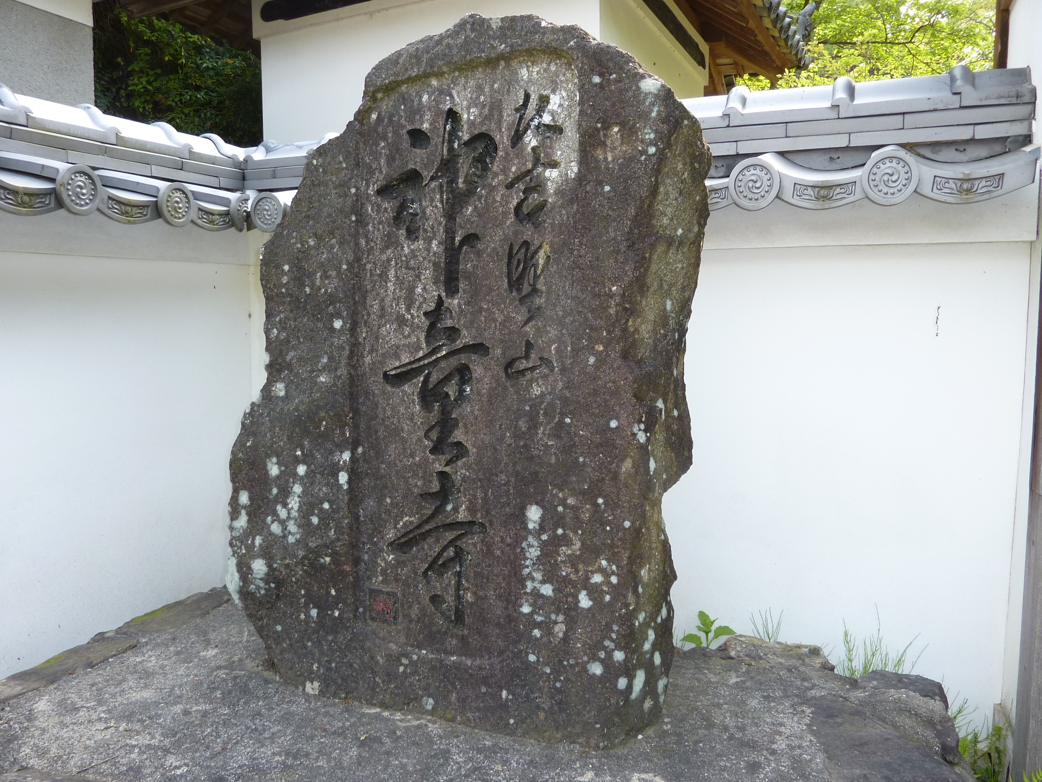 P1030561.JPG