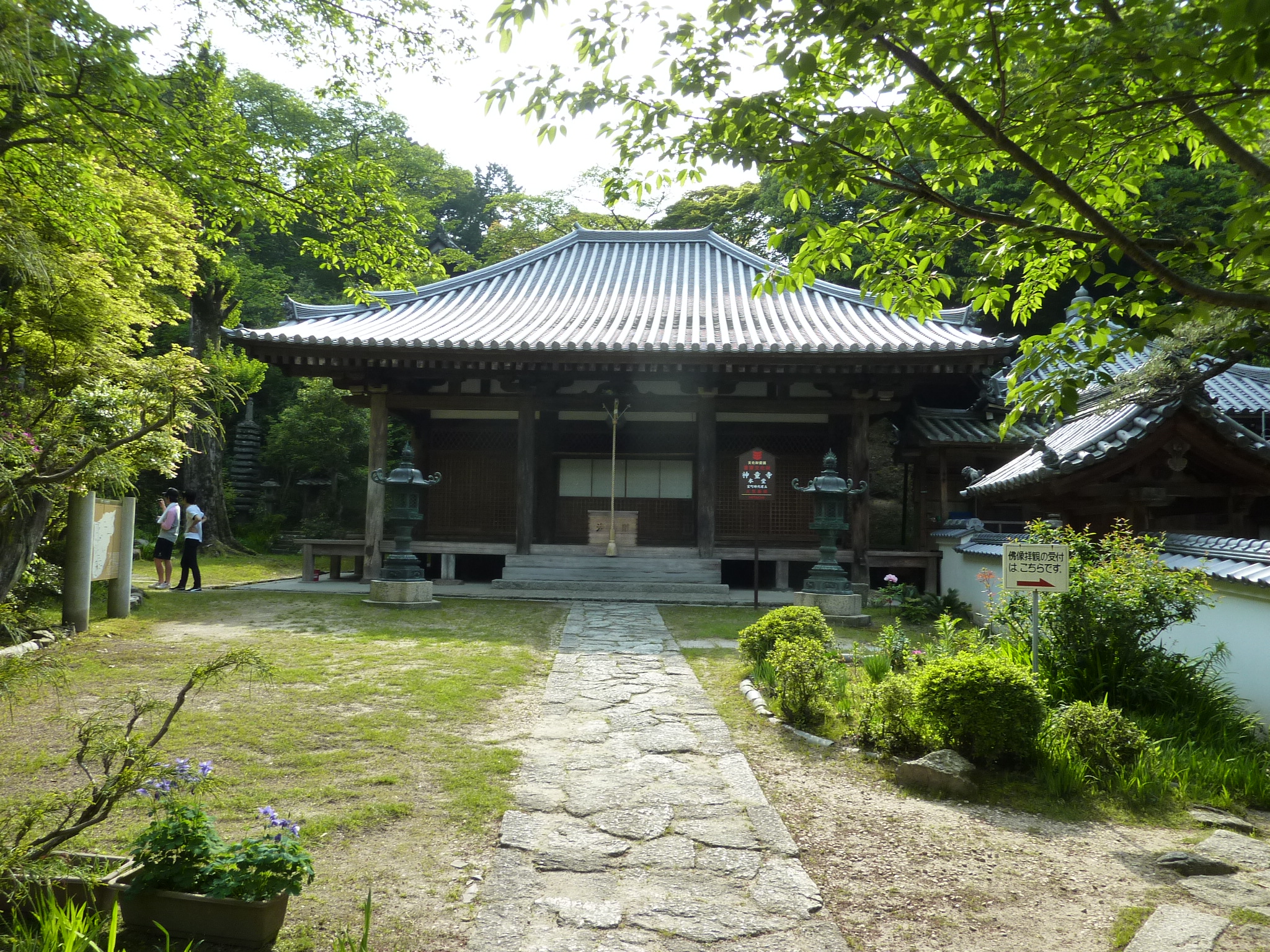 P1030562.JPG