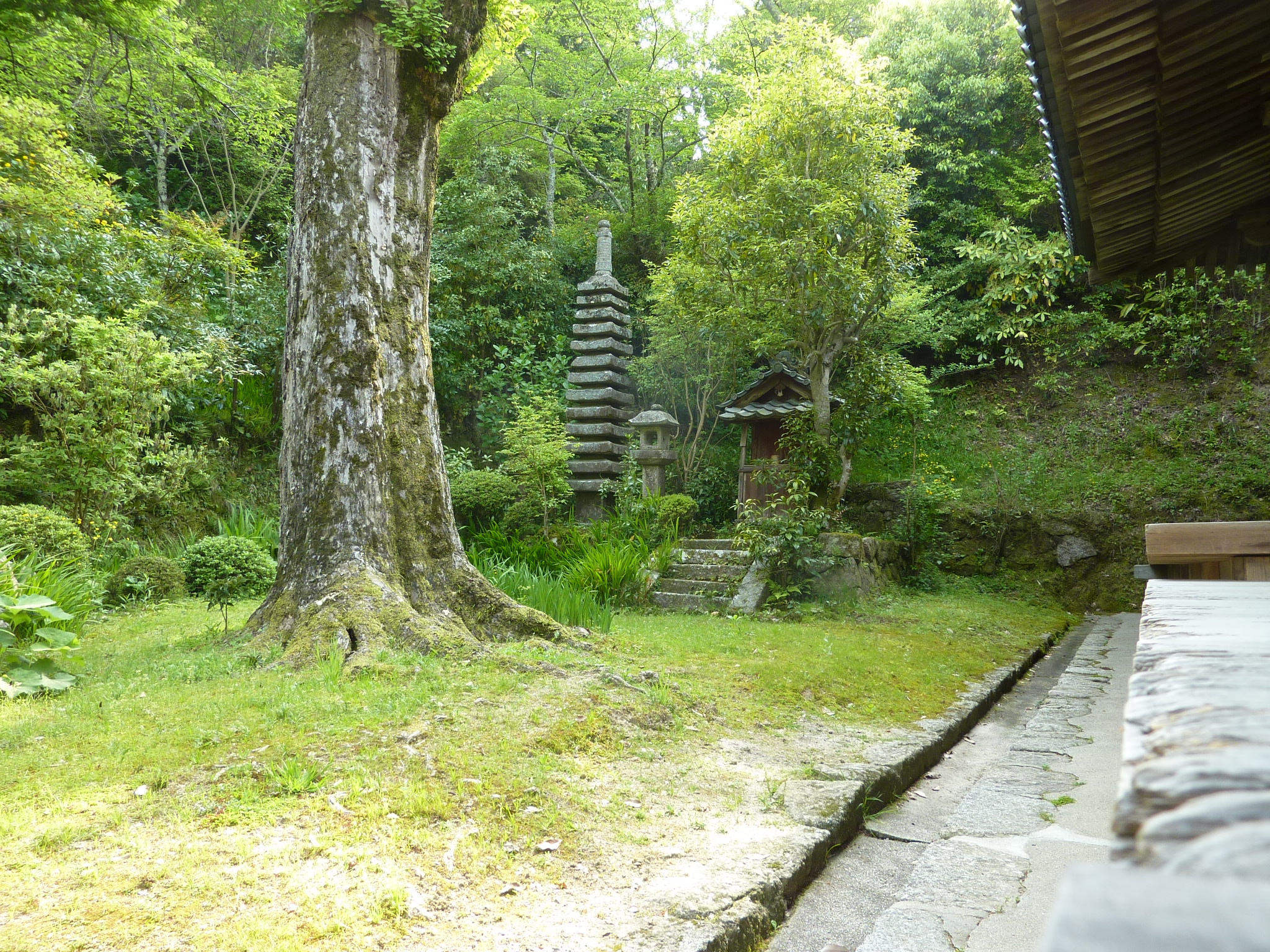 P1030565.JPG