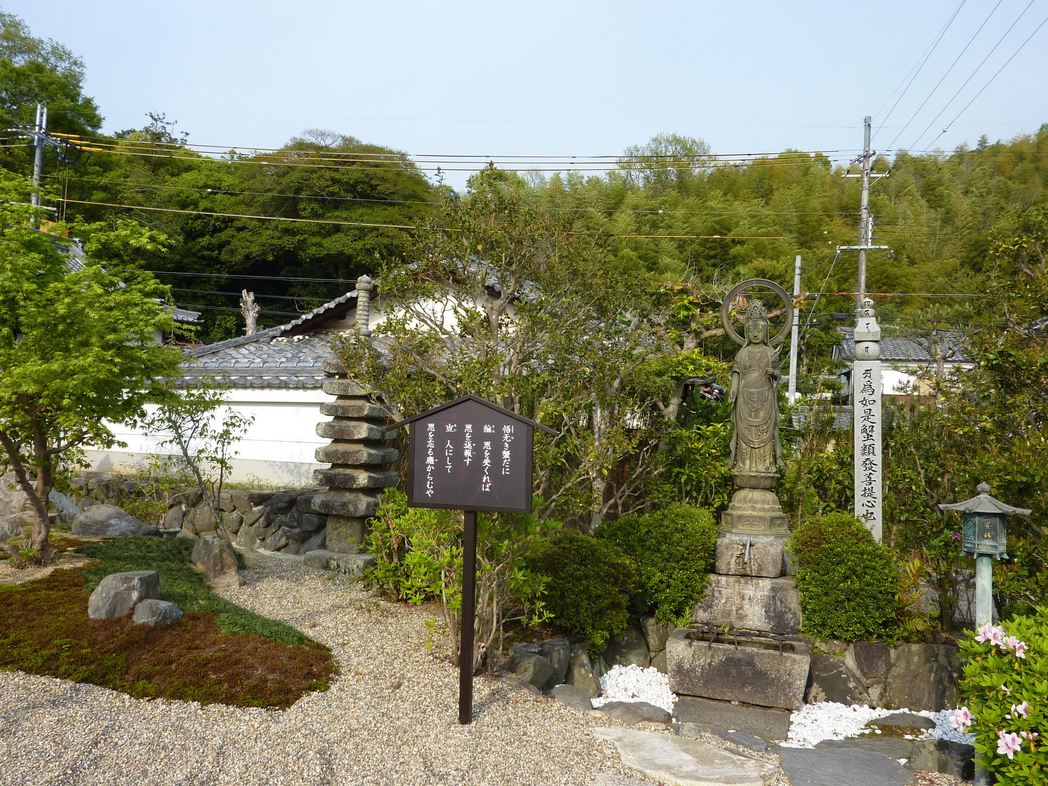 P1030572.JPG