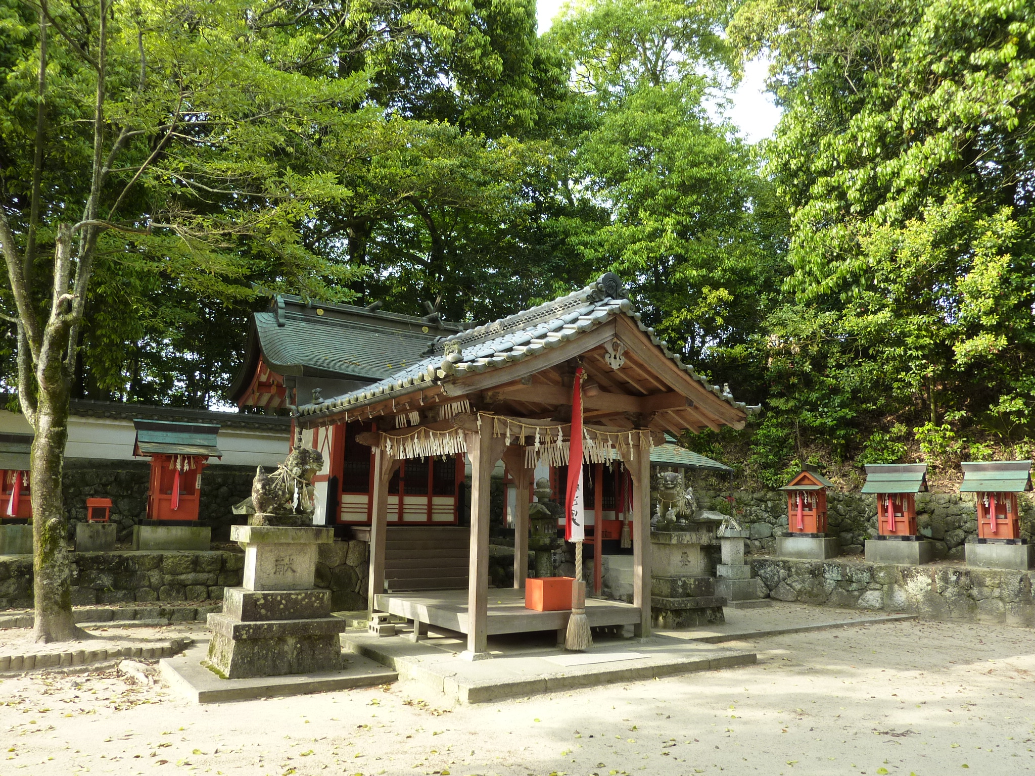 P1030575.JPG