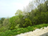 img0001.jpg