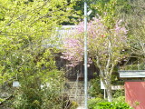 img0017.jpg