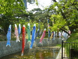 img0002.jpg