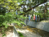 img0003.jpg