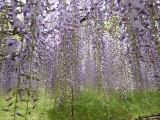 img0017.jpg