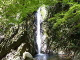 img0038.jpg