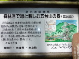 img0040.jpg