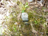 img0058.jpg