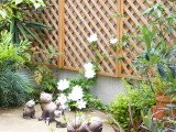 img0009.jpg