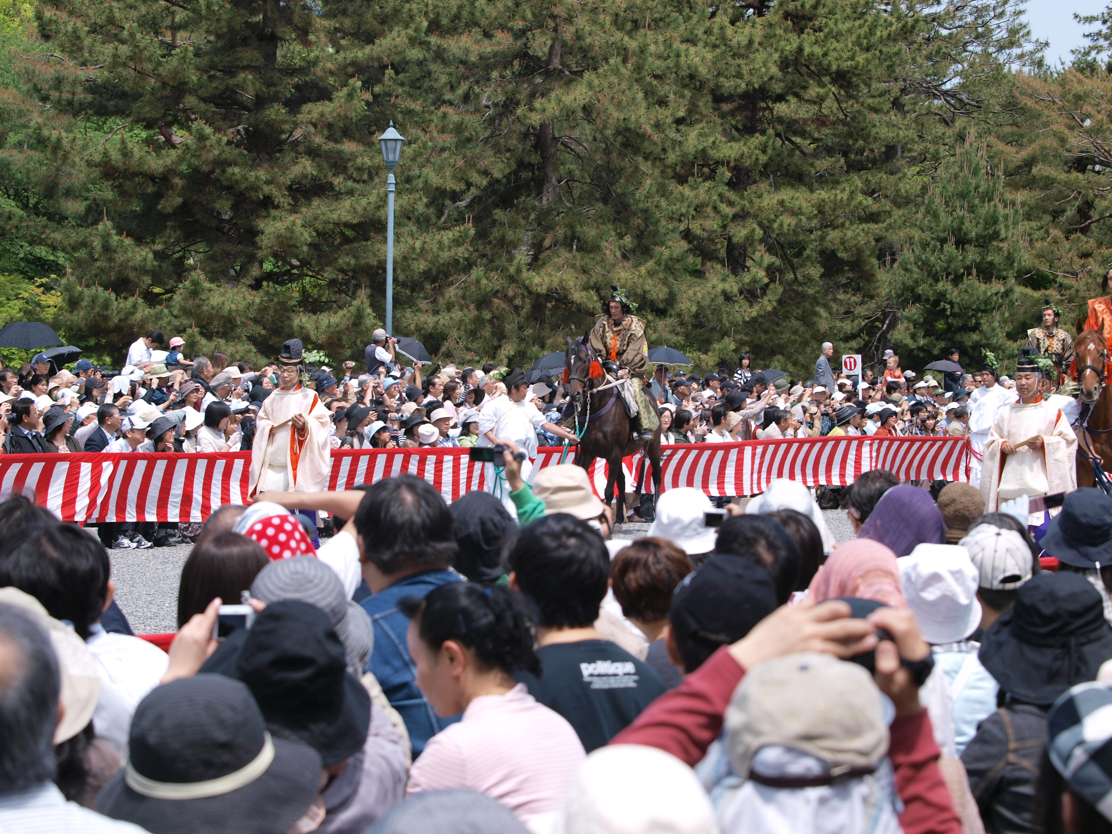 P5155358.JPG