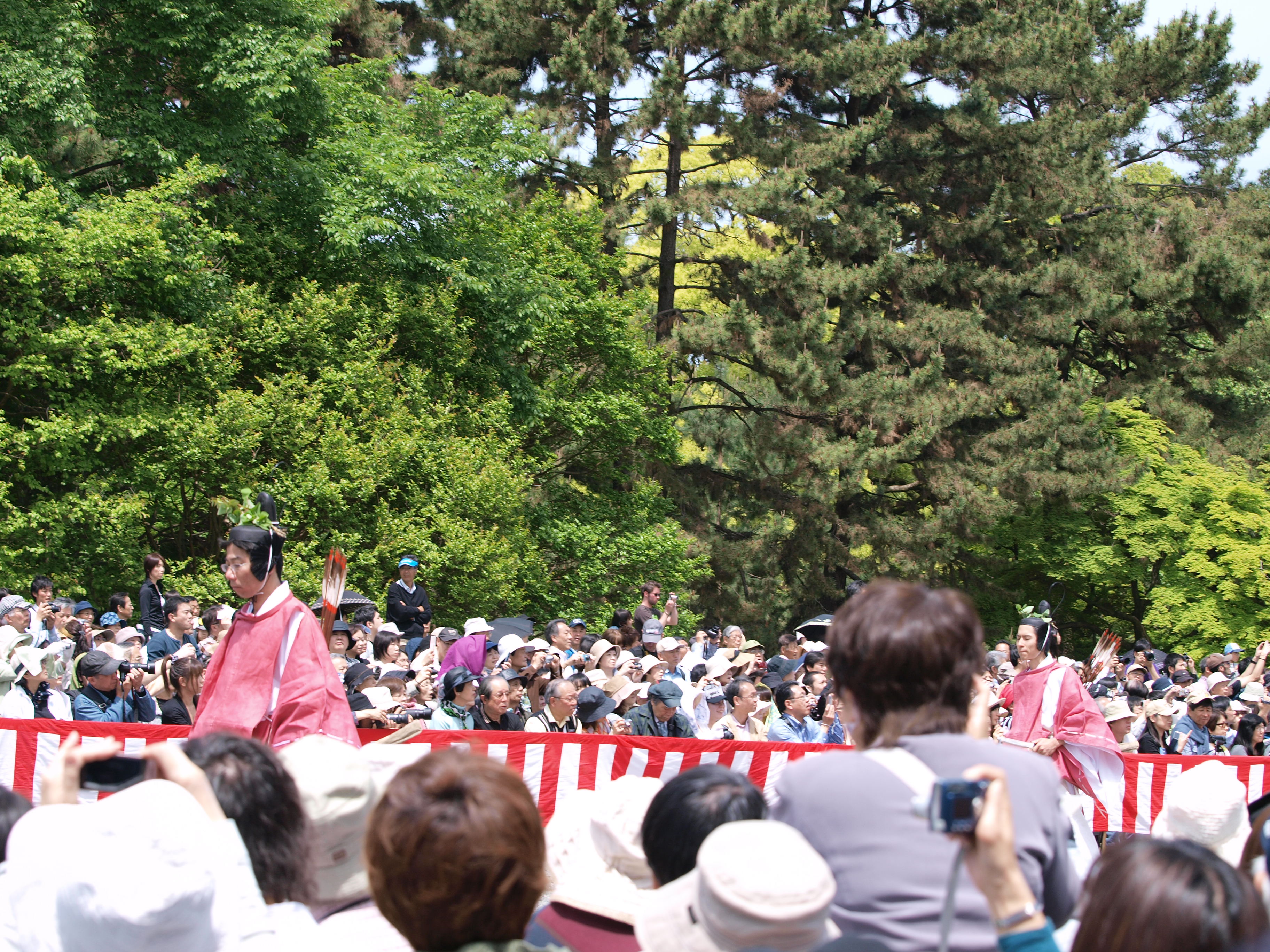 P5155366.JPG