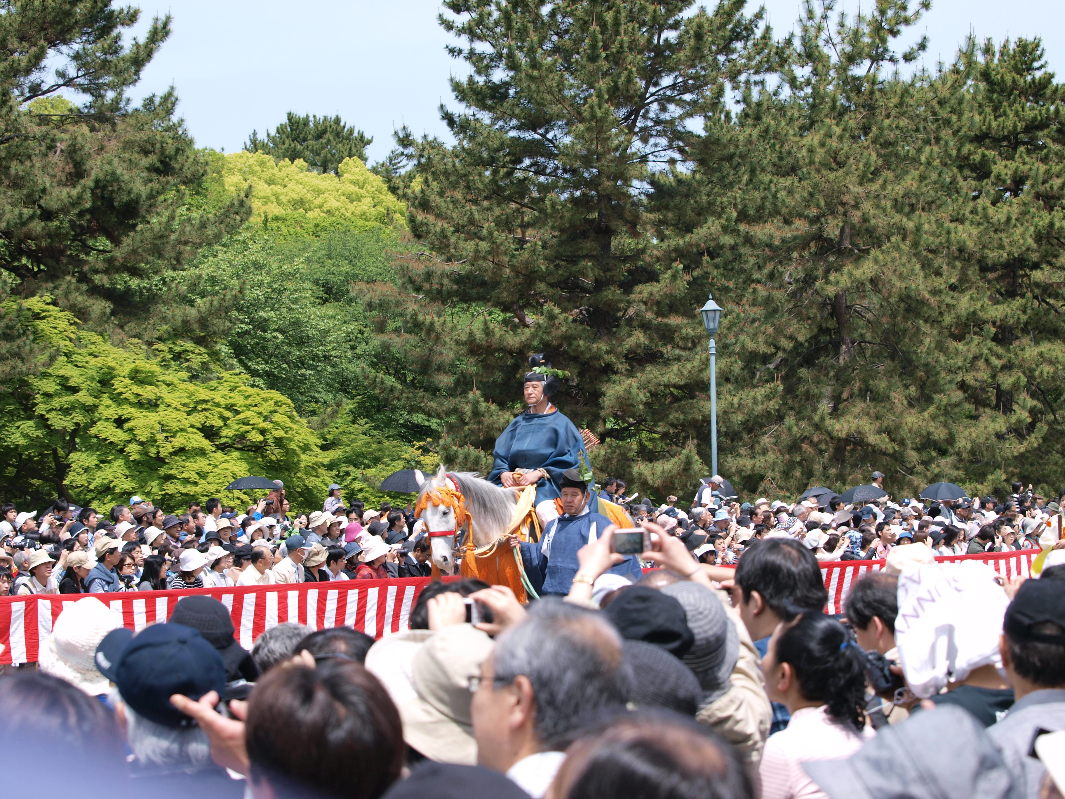 P5155367.JPG
