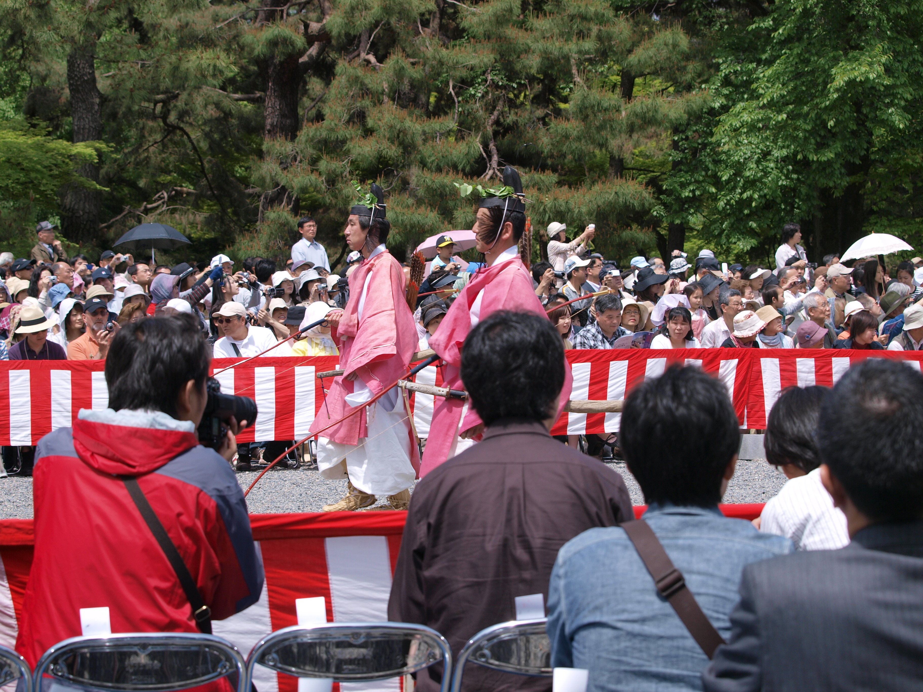 P5155369.JPG