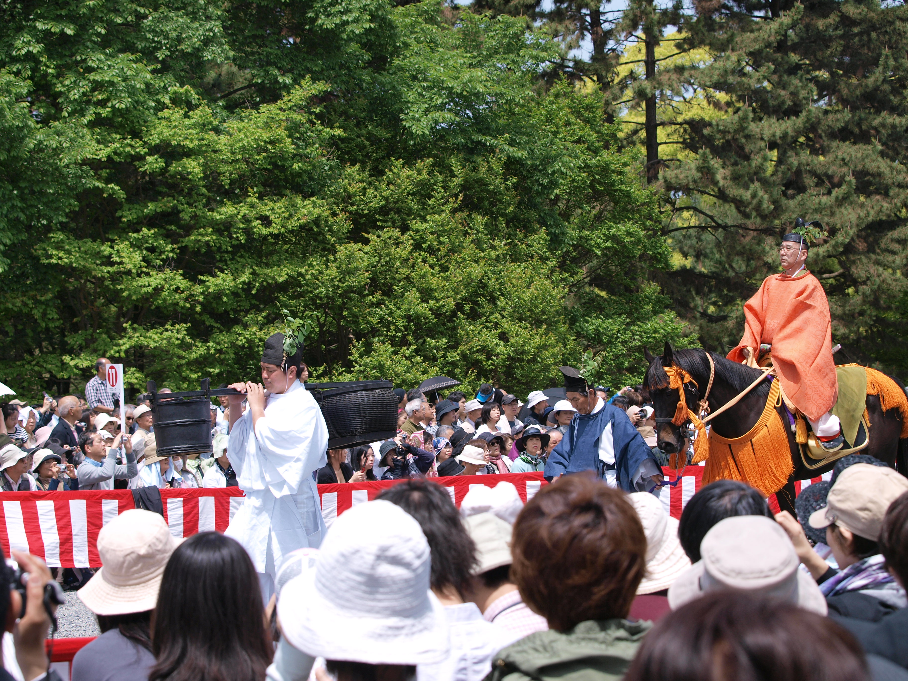 P5155370.JPG
