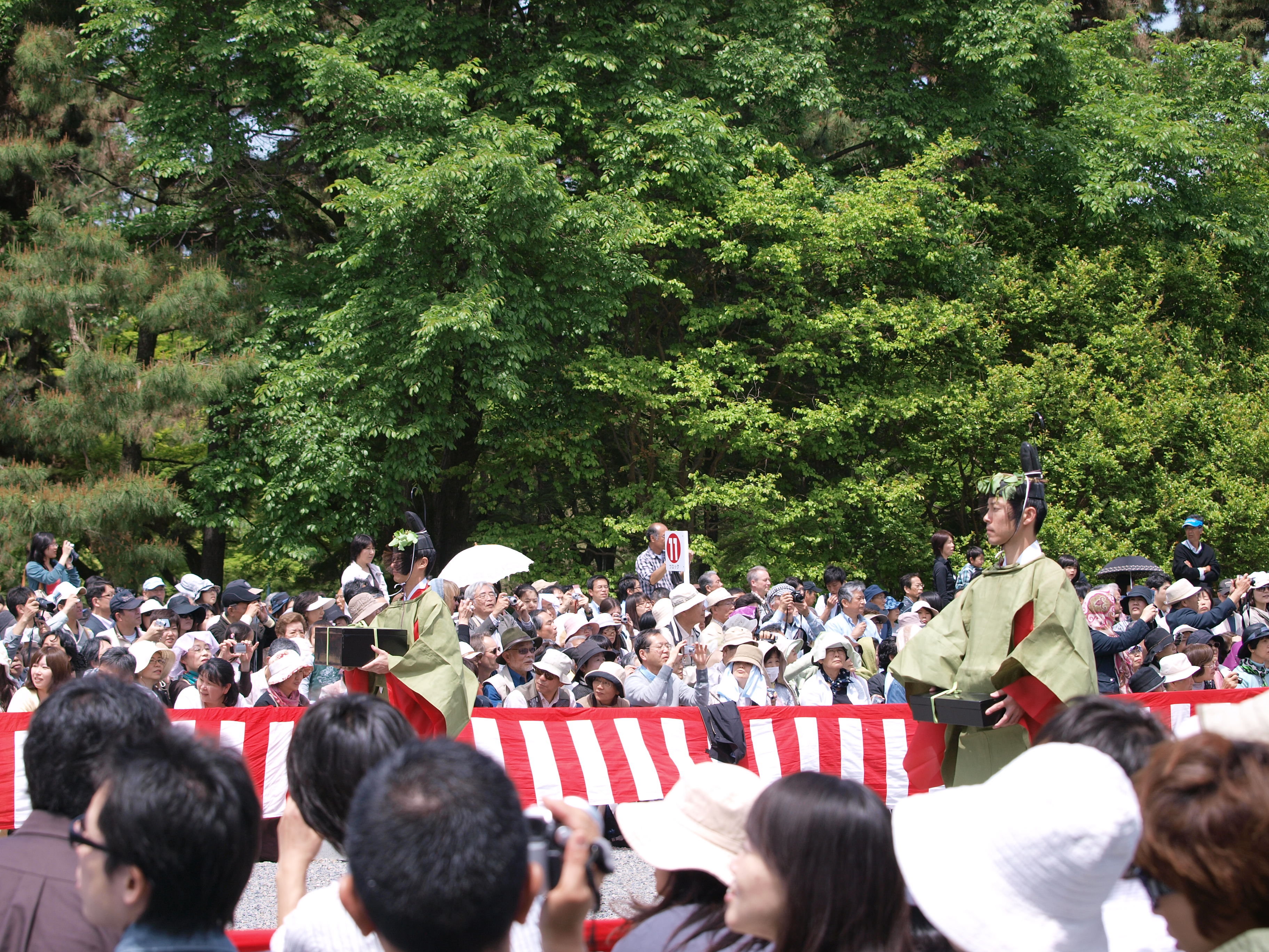 P5155373.JPG