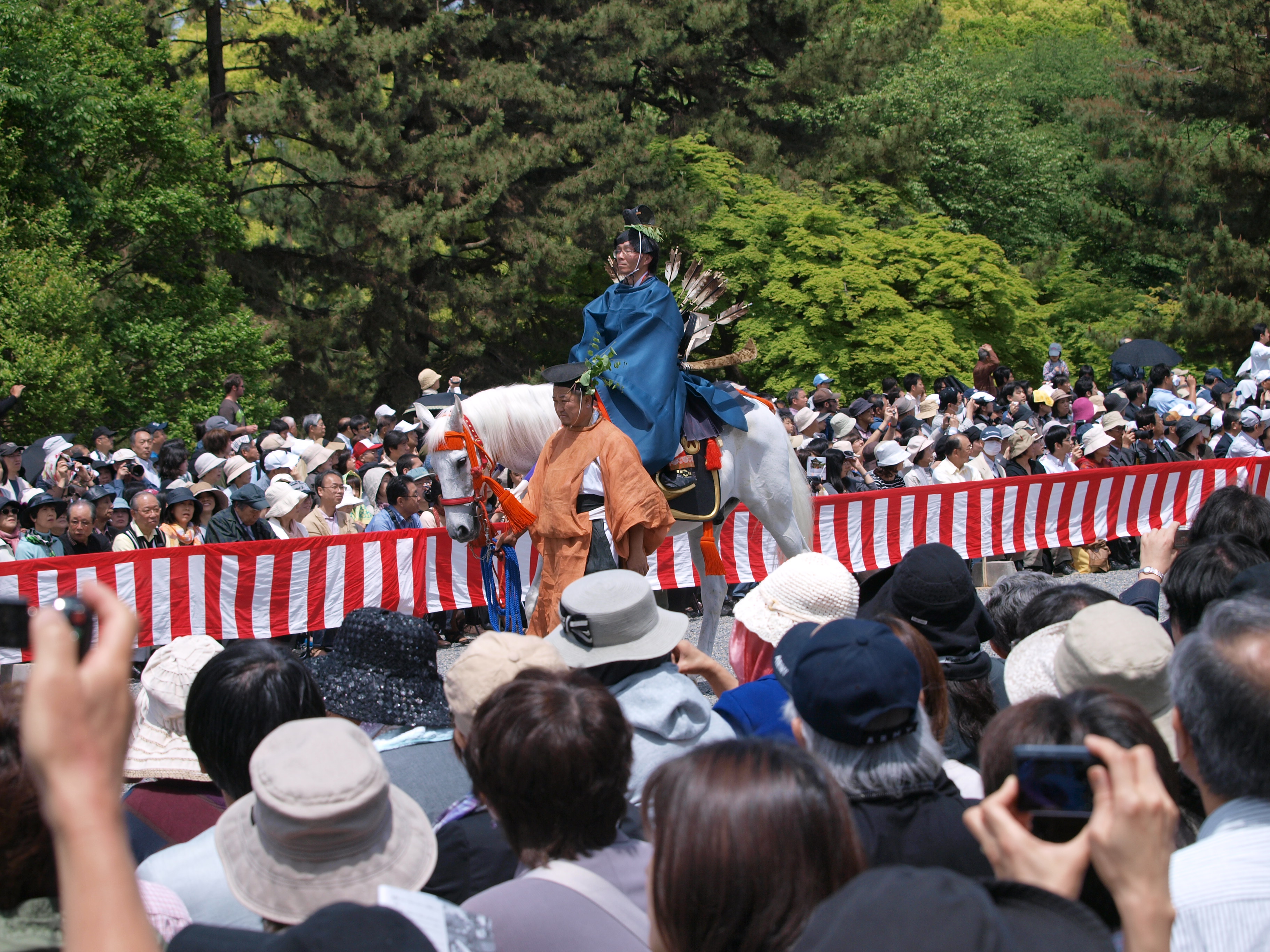 P5155380.JPG