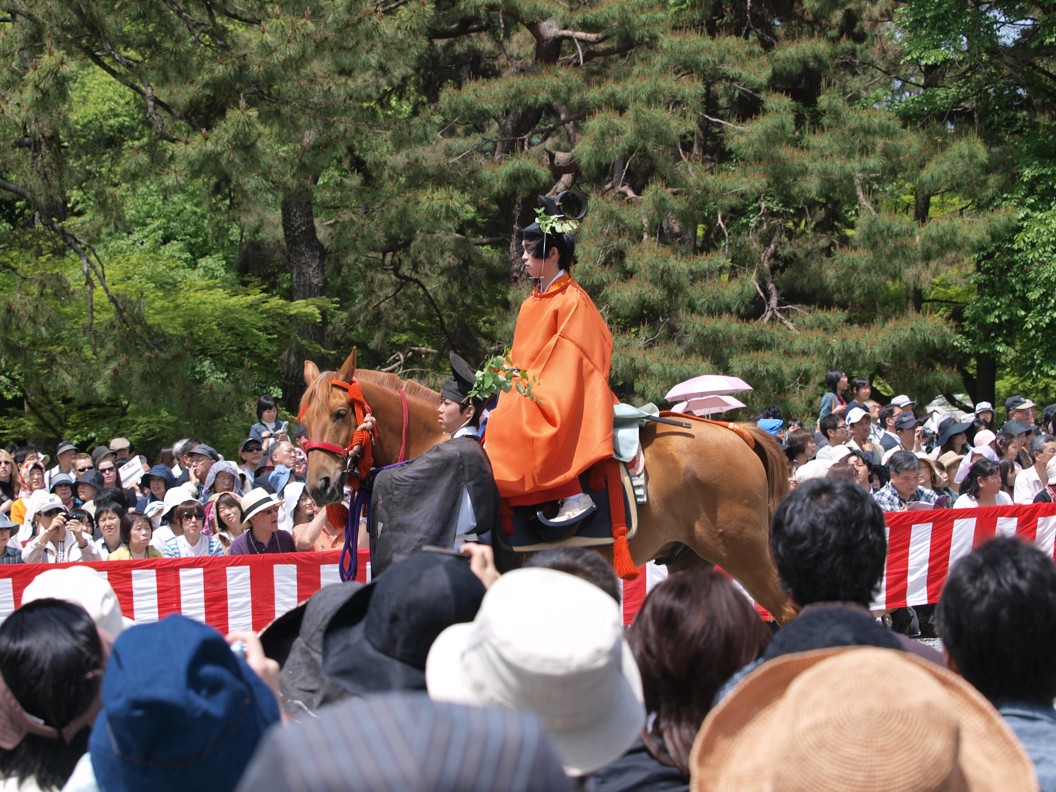 P5155386.JPG
