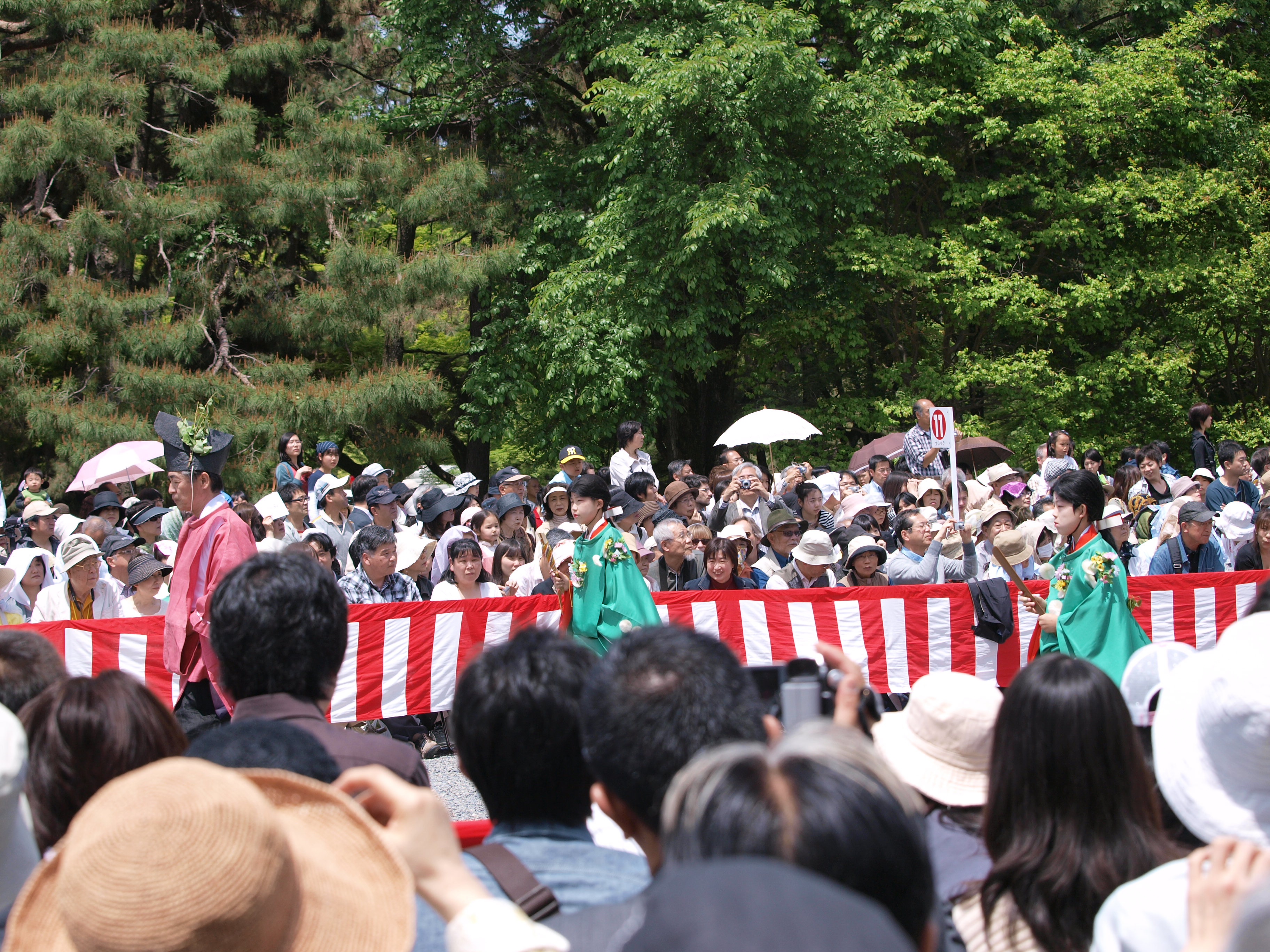 P5155391.JPG