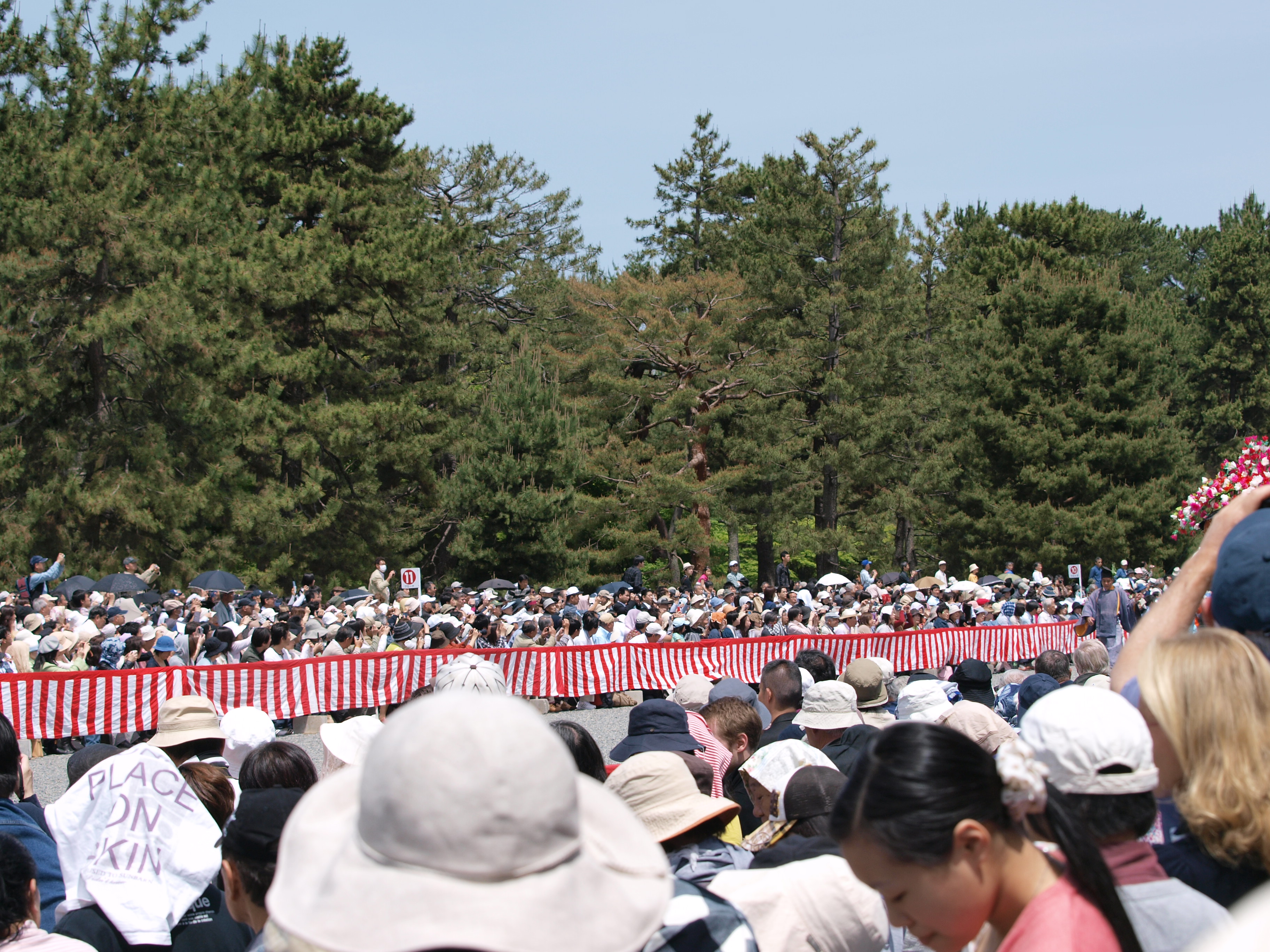 P5155392.JPG