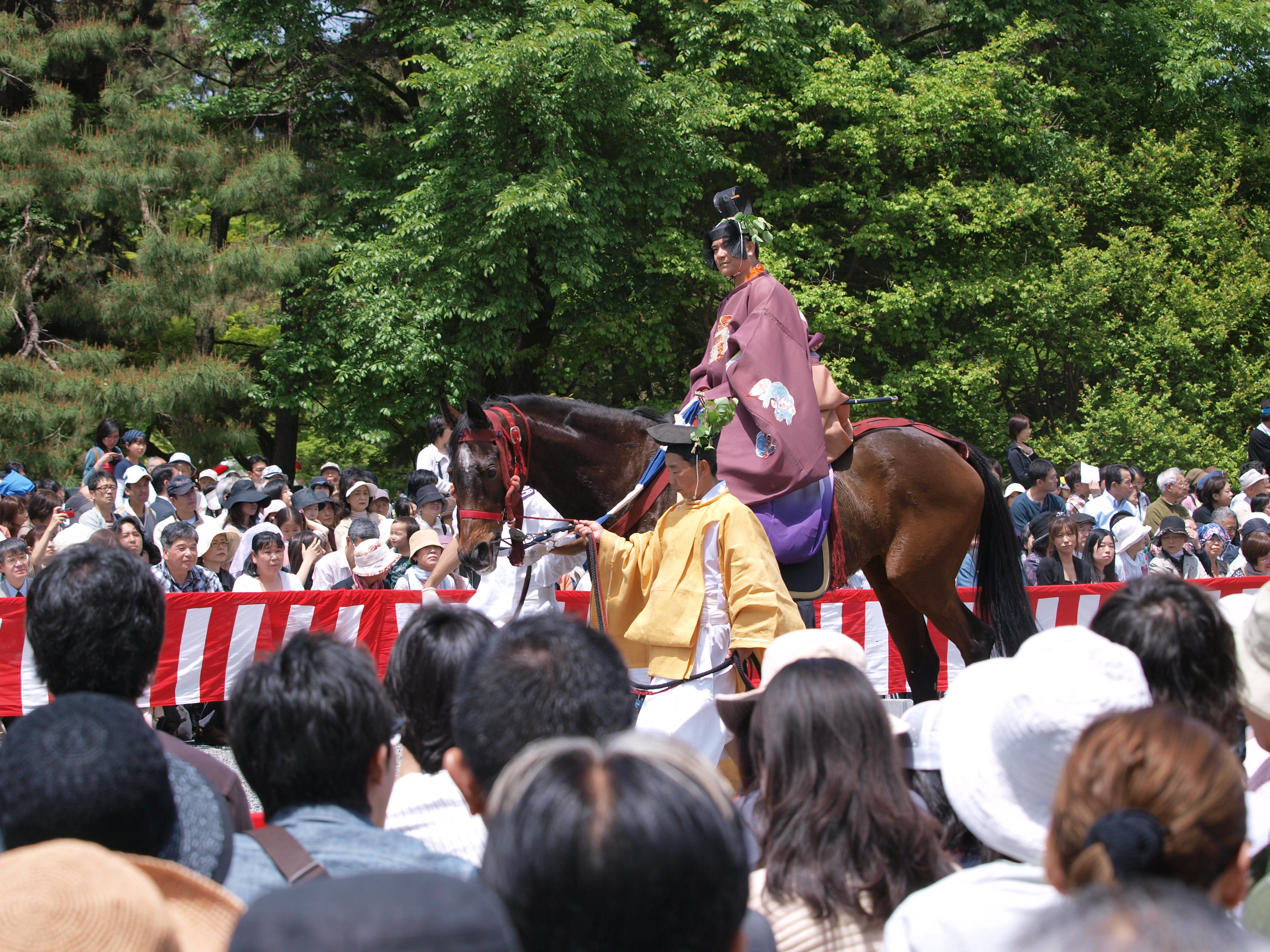 P5155400.JPG