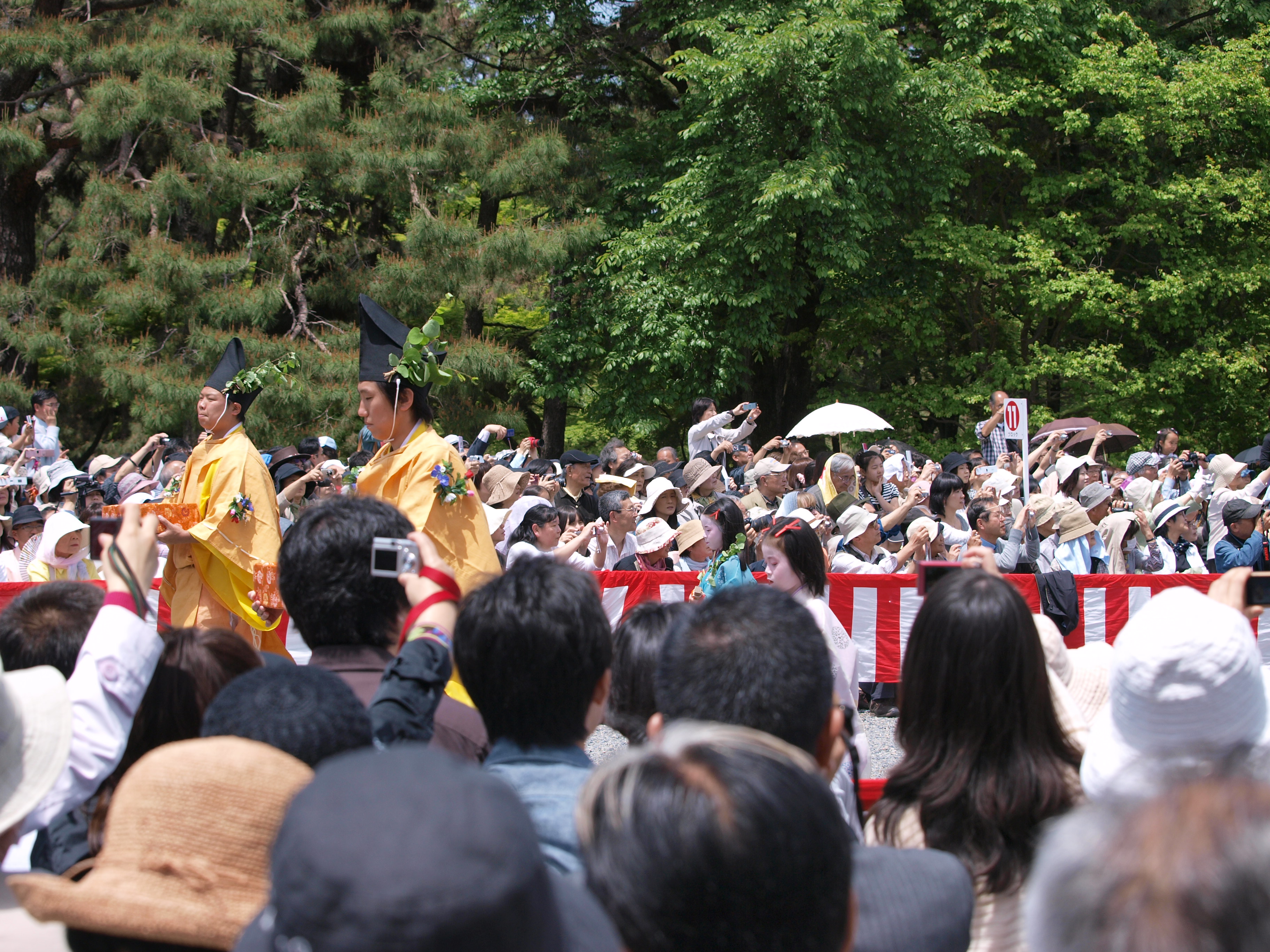 P5155415.JPG
