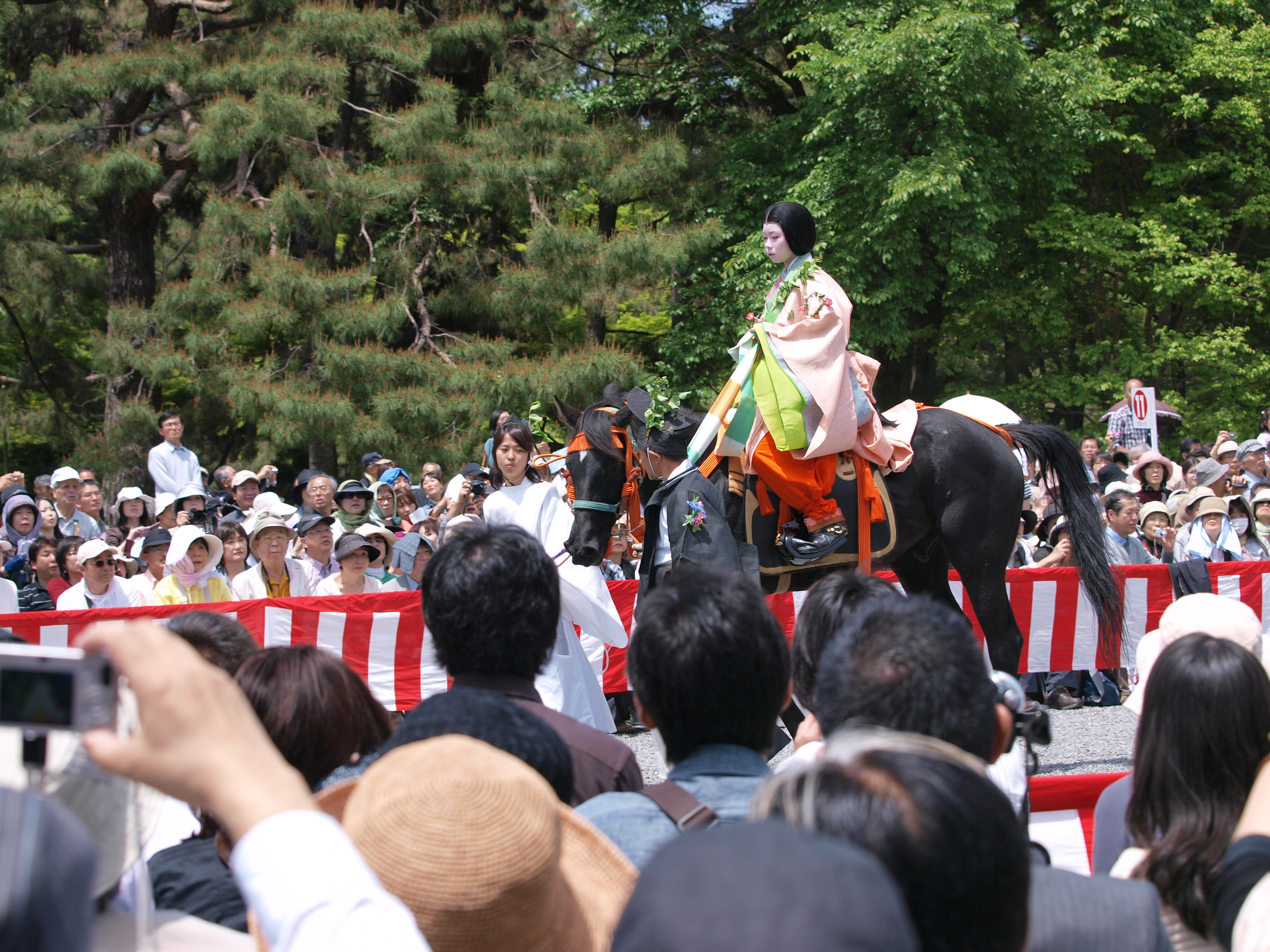 P5155428.JPG