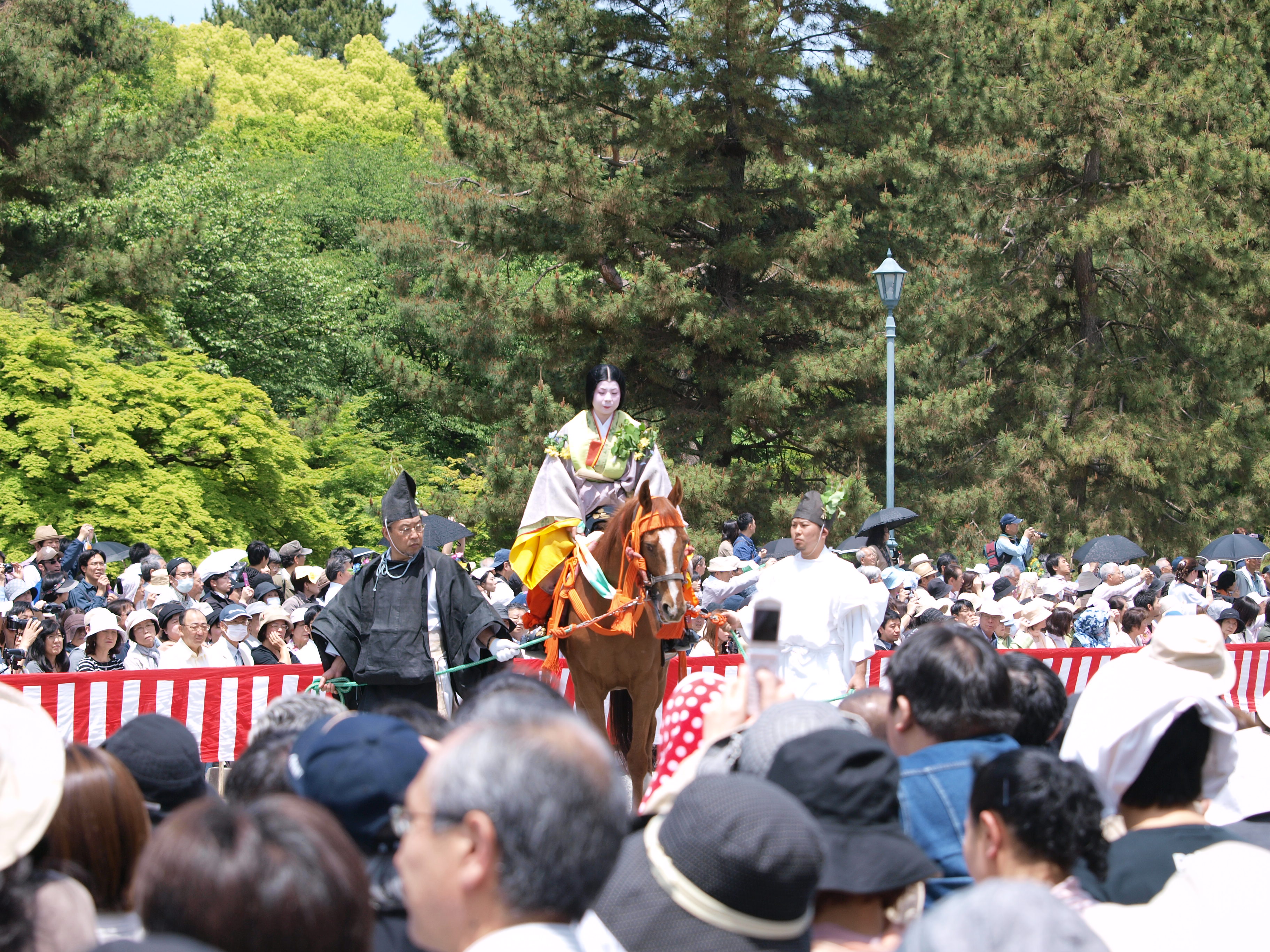 P5155435.JPG