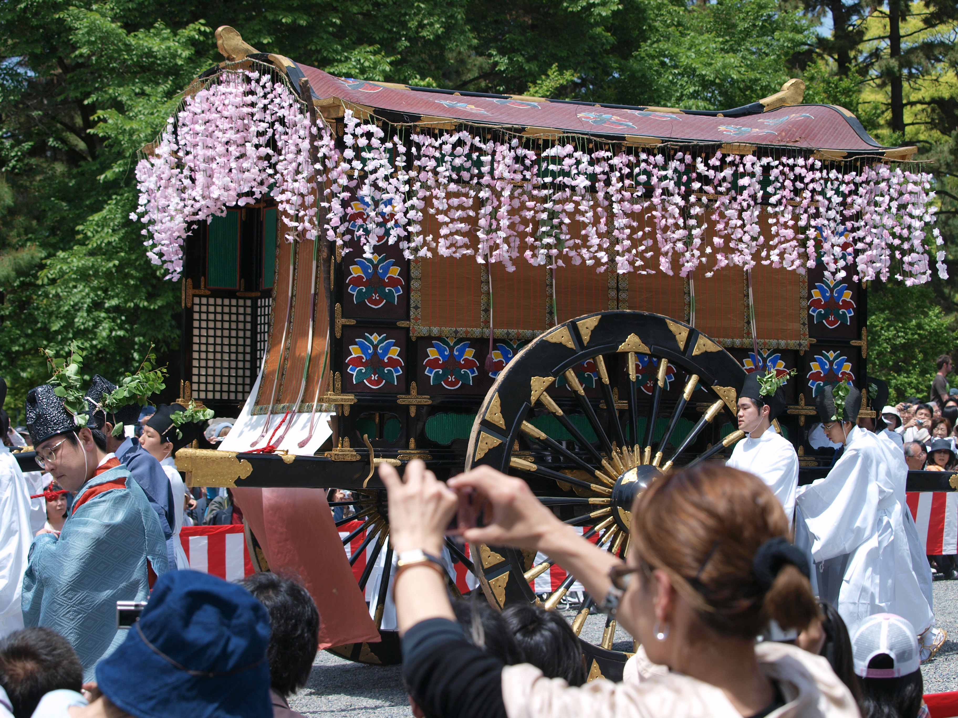 P5155446.JPG