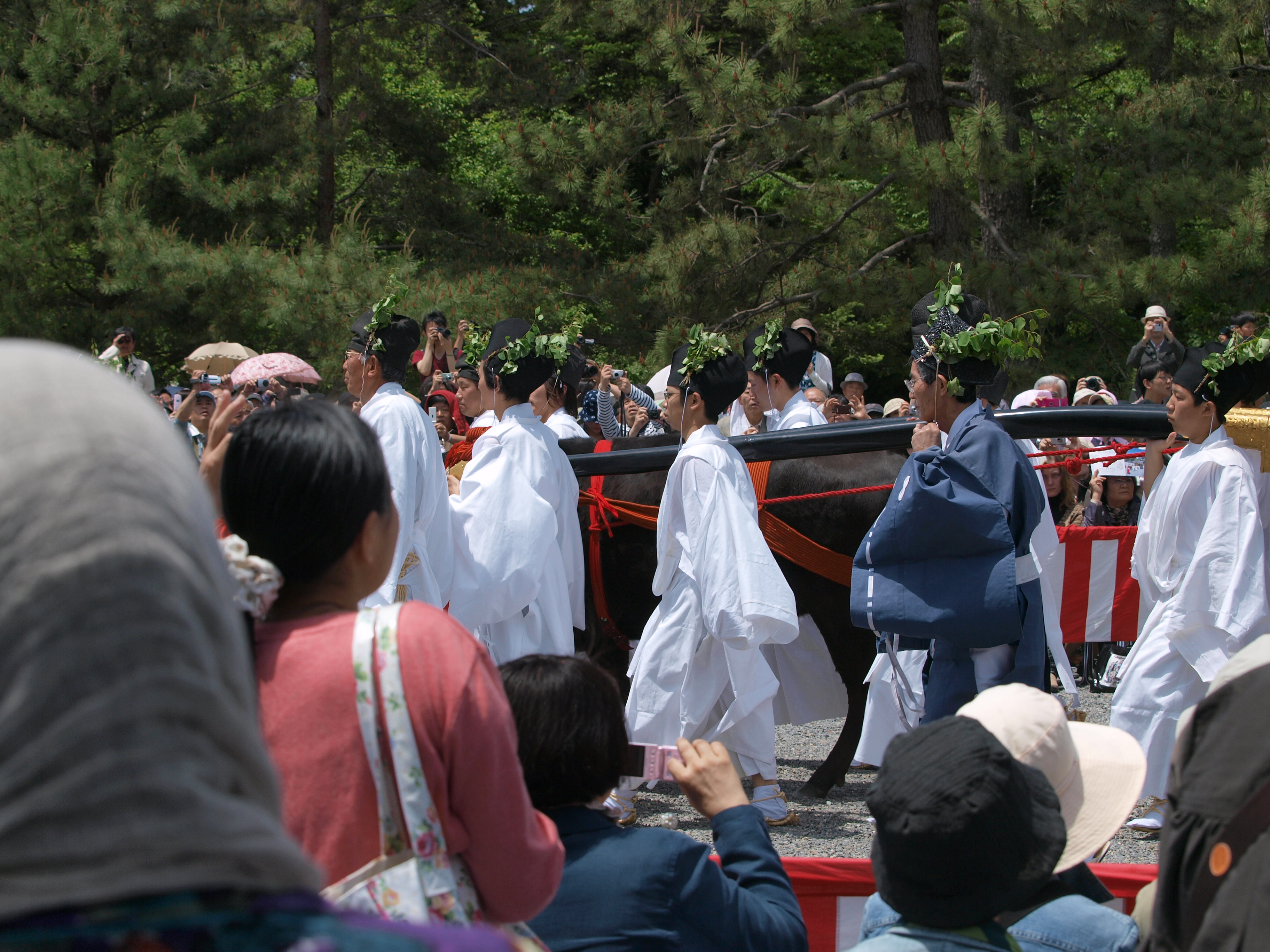 P5155447.JPG