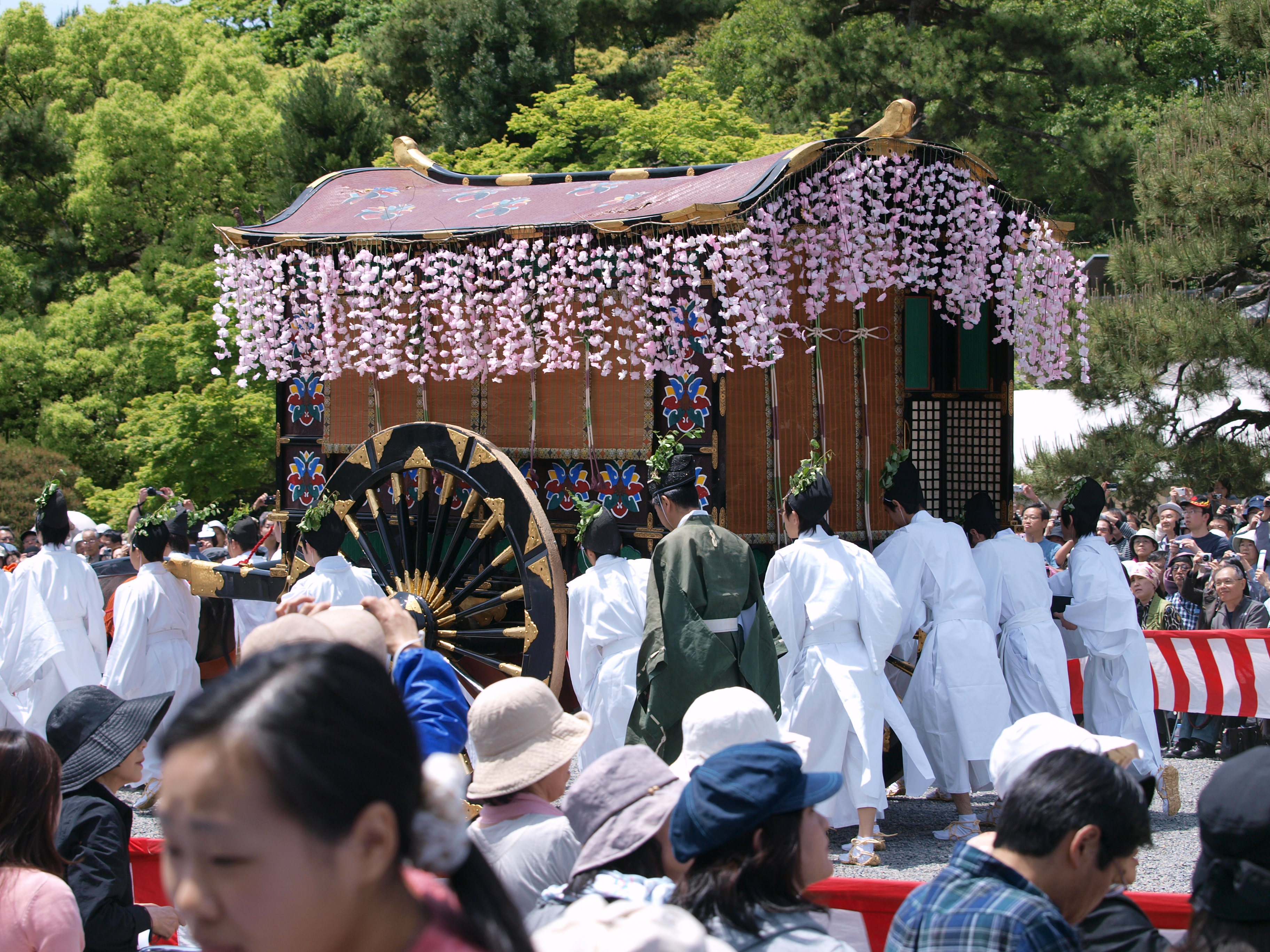 P5155449.JPG