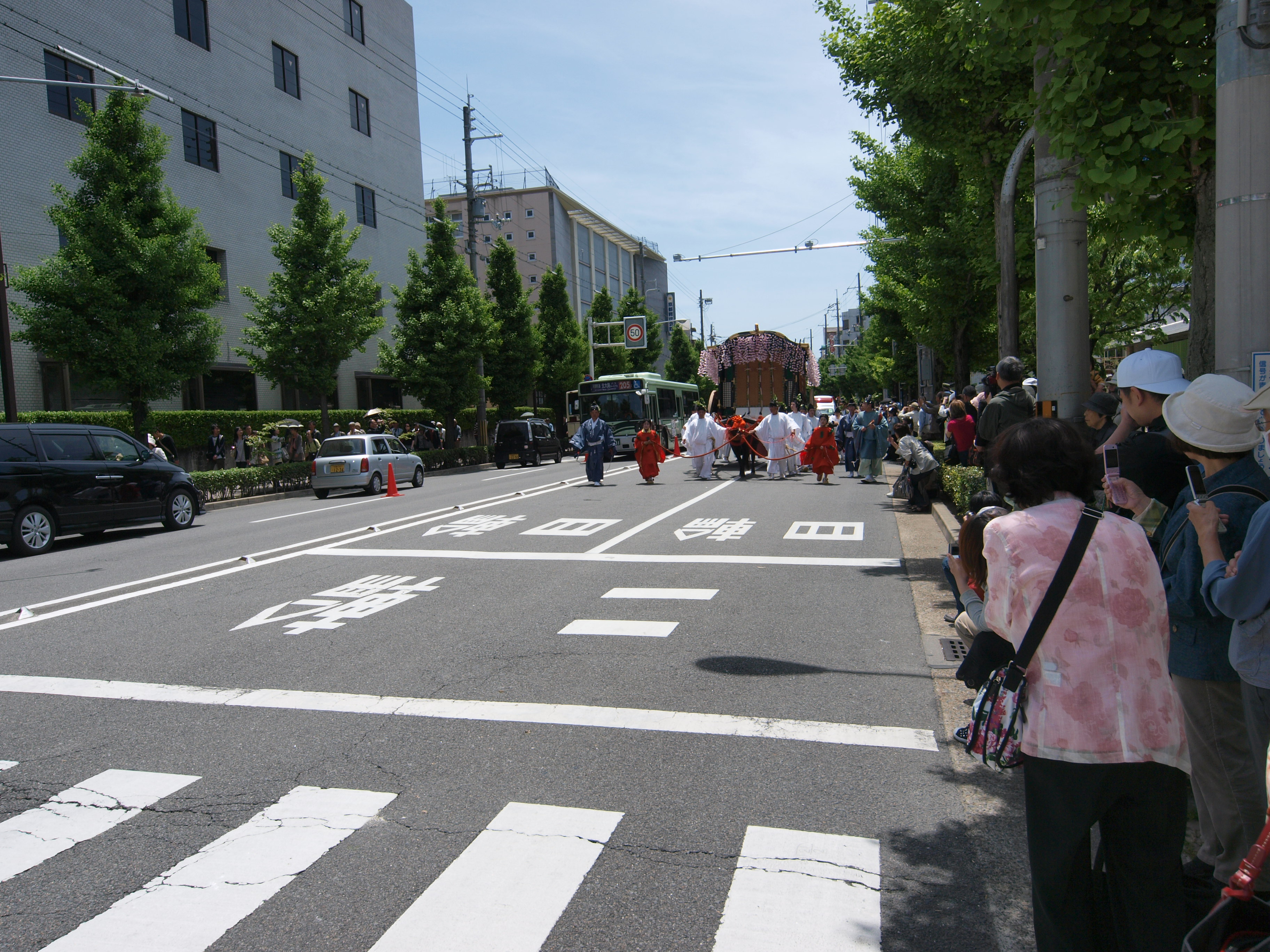 P5155472.JPG