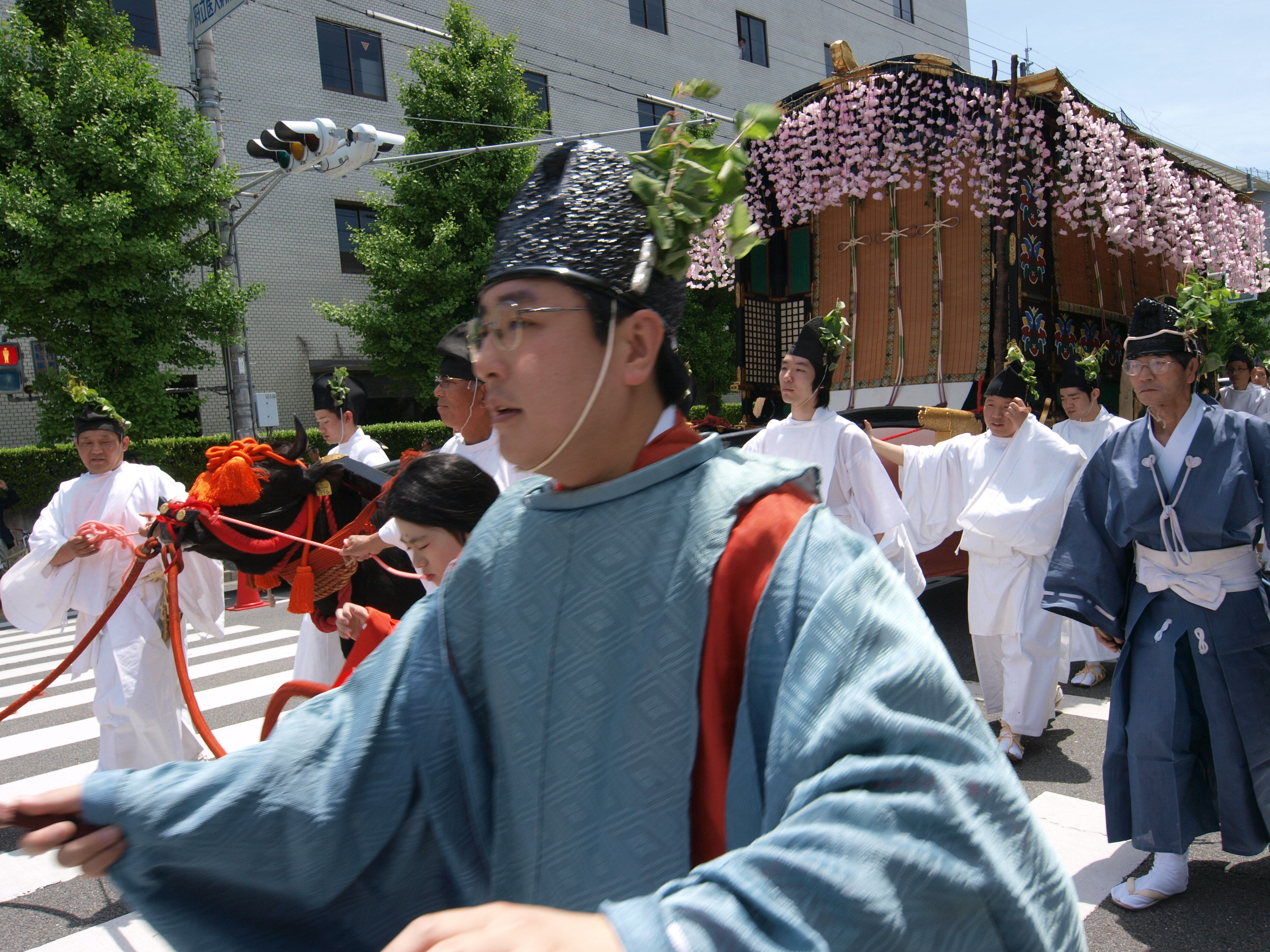 P5155475.JPG