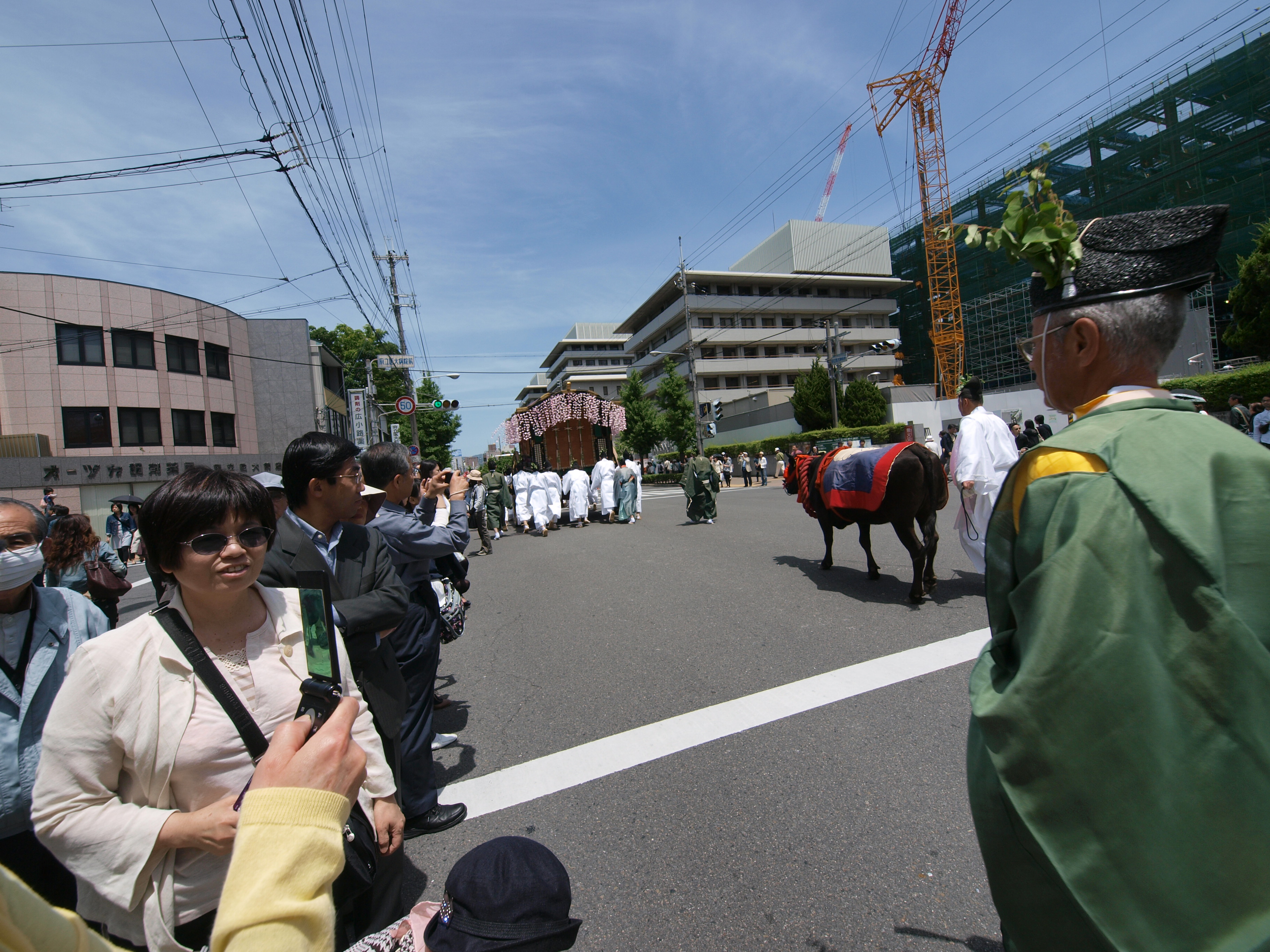 P5155479.JPG