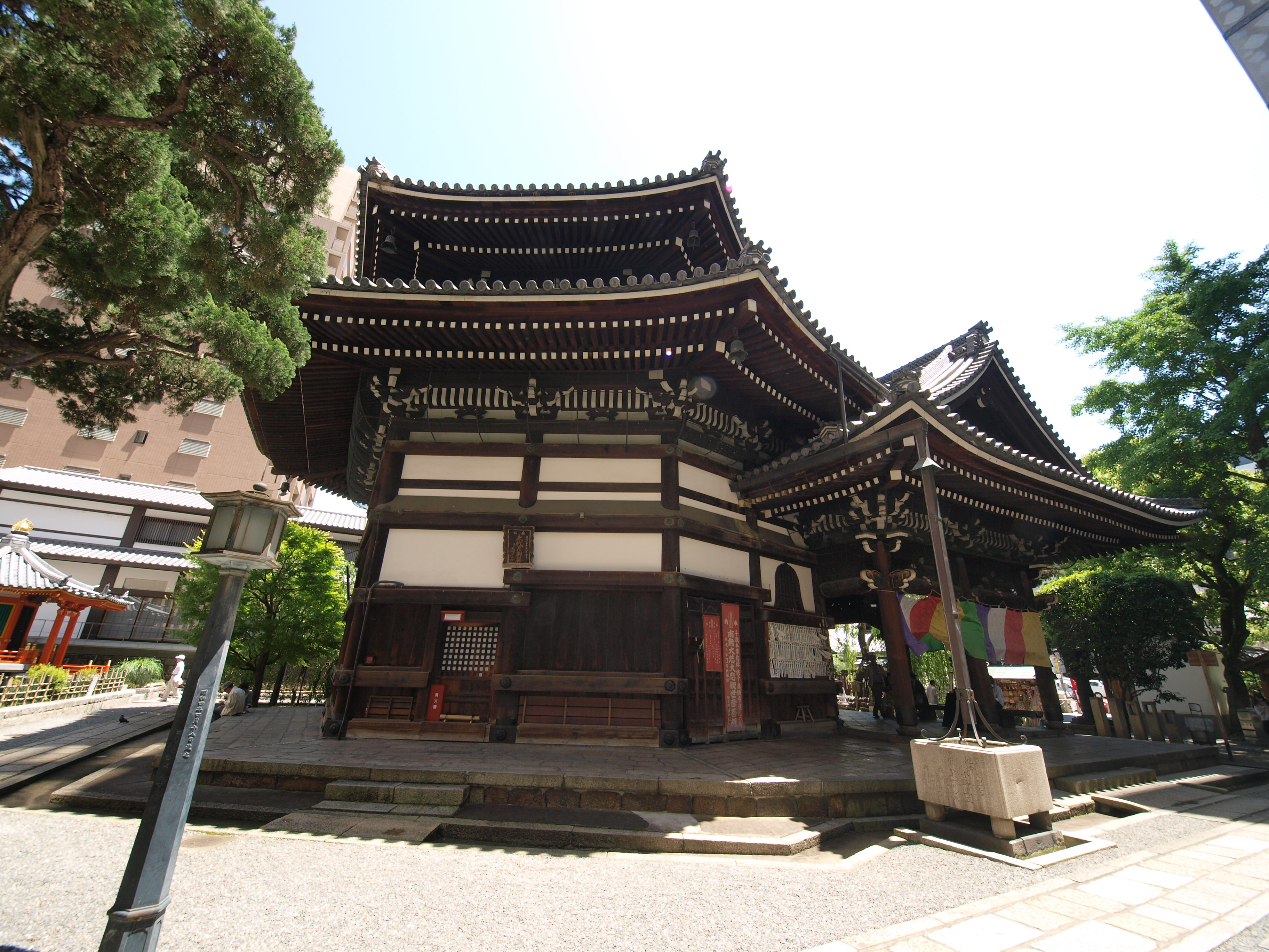 P5155486.JPG