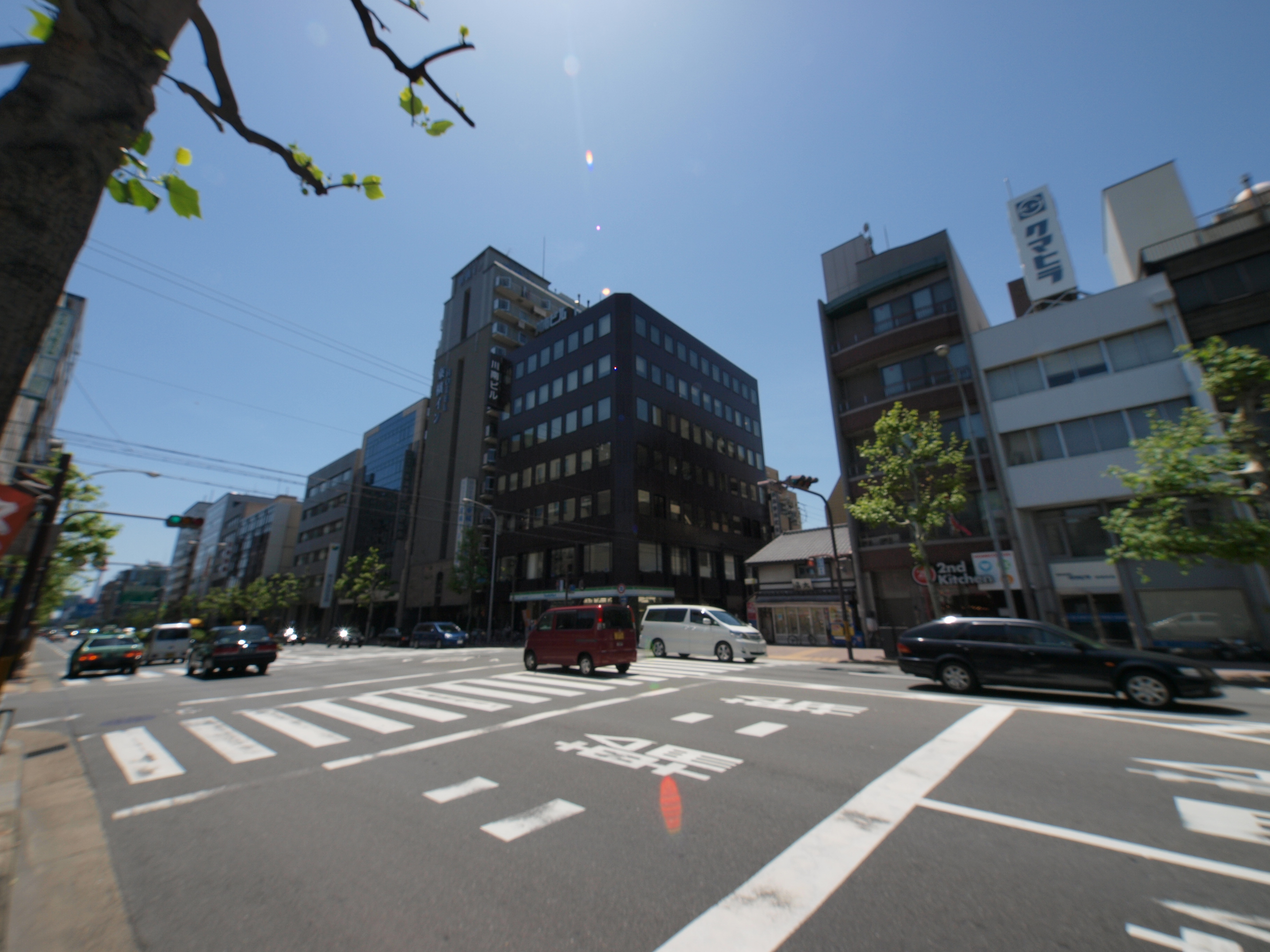 P5155489.JPG