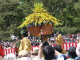 img0048.jpg