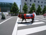 img0122.jpg