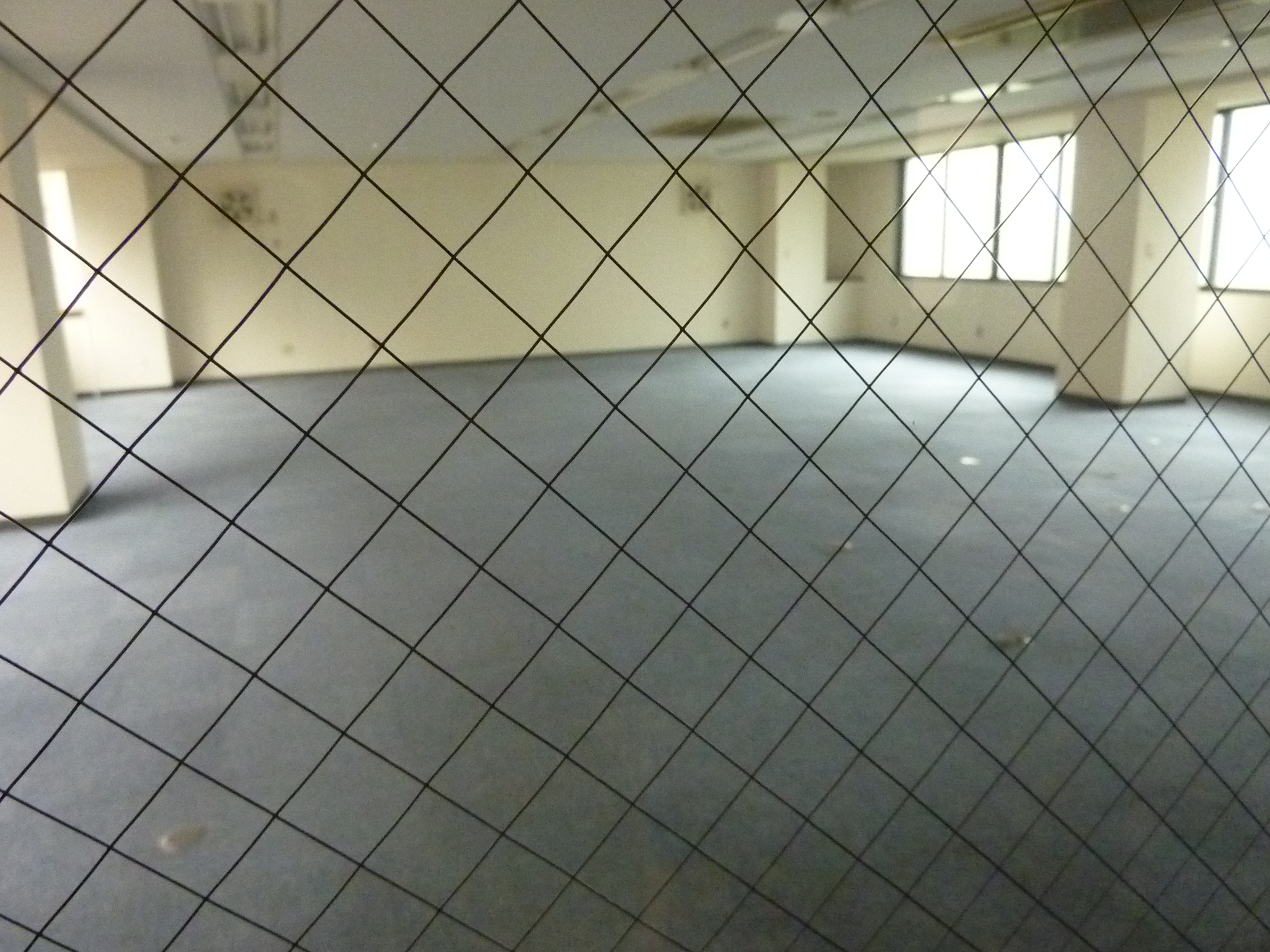 P1030842.JPG