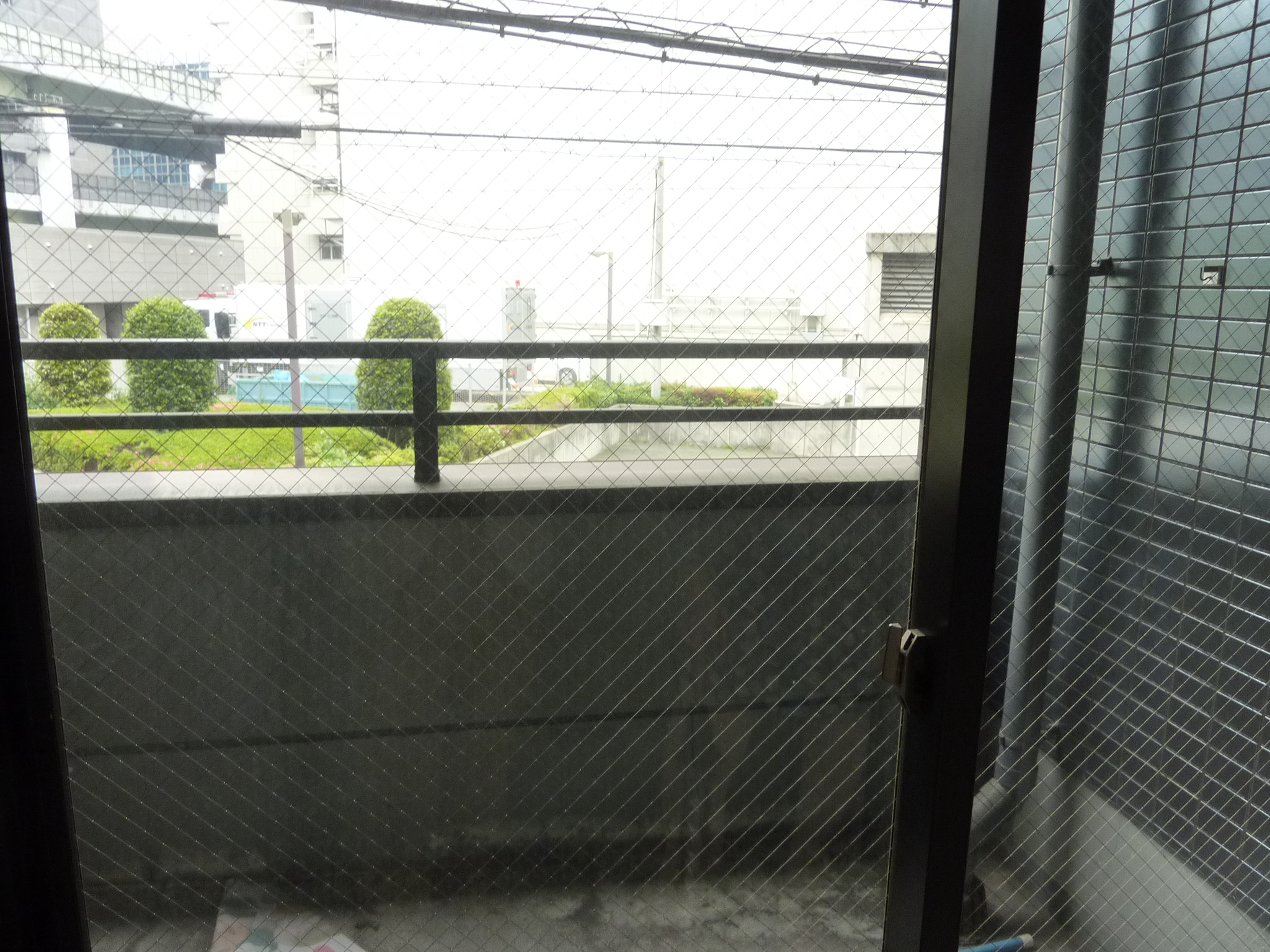P1030843.JPG